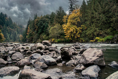 Scenic view of river amidst trees against sky