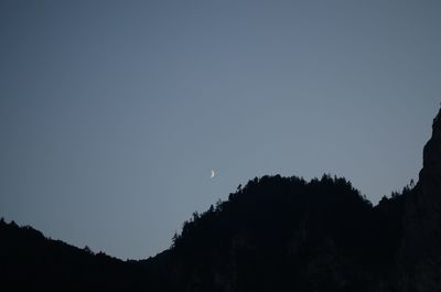 Low angle view of silhouette trees against clear sky at night