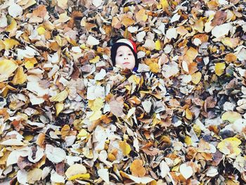 High angle portrait of boy covered with autumn leaves while lying at park