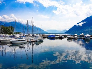 Sailboats in marina