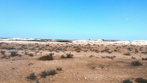 Scenic view of desert against clear blue sky