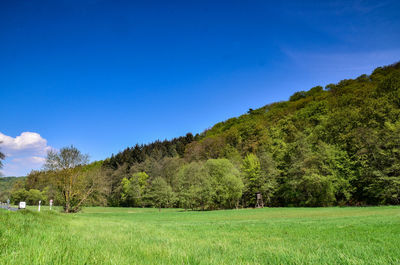 Scenic view of trees on field against blue sky