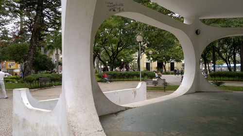 Trees in park