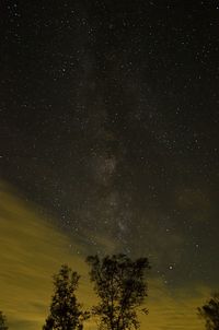 Low angle view of trees against star field at night