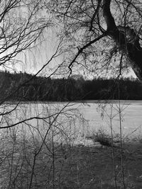 Scenic view of lake during winter