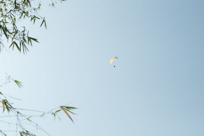 Low angle view of kite flying against clear sky