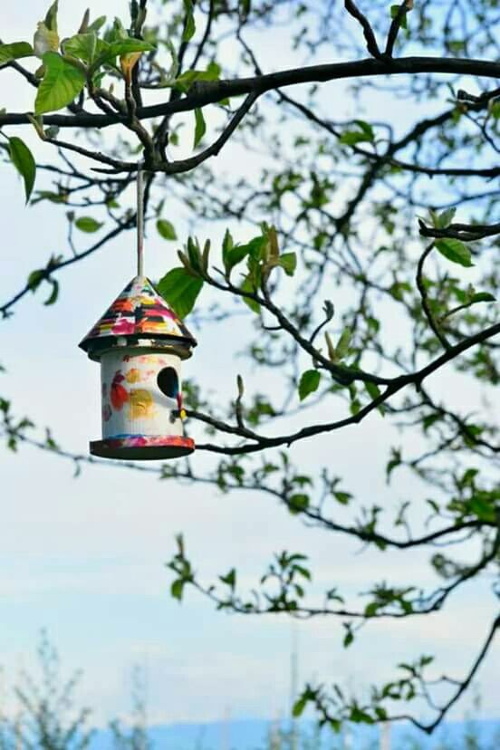 low angle view, tree, branch, focus on foreground, sky, hanging, close-up, day, nature, no people, outdoors, selective focus, blue, growth, leaf, twig, bare tree, multi colored, red, building exterior