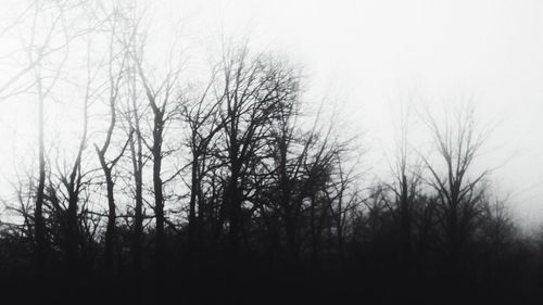 Low angle view of bare trees against sky