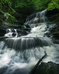 Scenic view of waterfall in forest