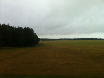 Trees on field against cloudy sky