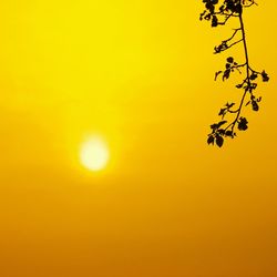 Scenic view of sunset