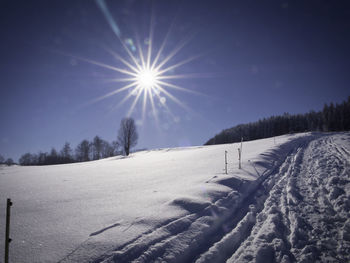 Scenic view of snow covered trees against sky