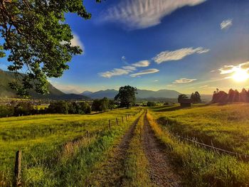 Scenic view of agricultural field against sky