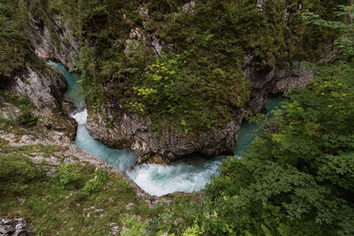 High angle view of waterfall in forest