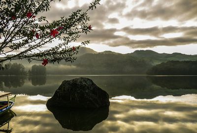 Reflection of tree in lake against sky