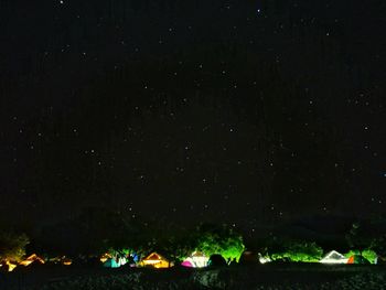 Illuminated trees against sky at night