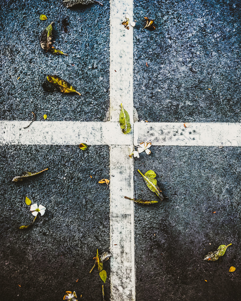 HIGH ANGLE VIEW OF LEAVES ON ROAD