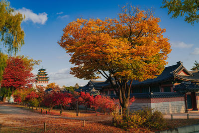 Trees by buildings against sky during autumn