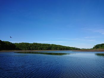 Scenic view of lake against blue sky