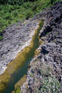 Stream flowing through rocks in forest