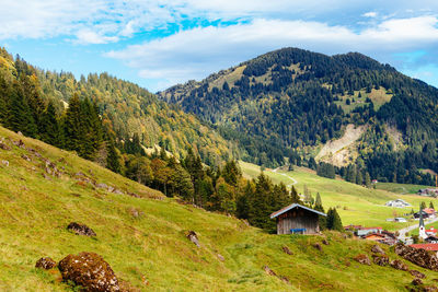 Scenic view of trees and houses against sky