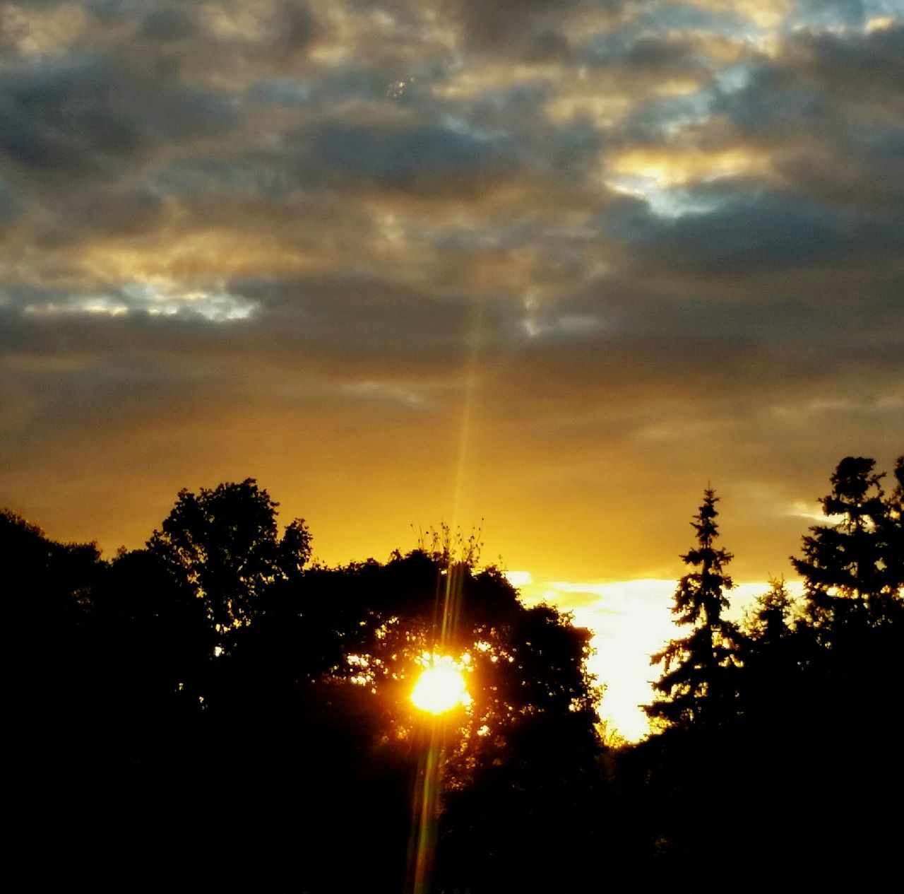 sunset, silhouette, sun, sky, beauty in nature, tree, cloud - sky, scenics, orange color, tranquil scene, tranquility, nature, sunbeam, idyllic, sunlight, cloudy, dramatic sky, cloud, back lit, growth