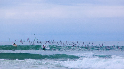 Group of people on sea shore against sky