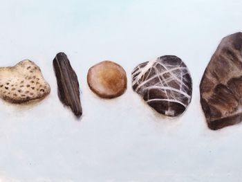 Close-up of food on white background