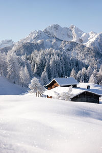 Winter forest landscape with snowy fir trees and traditional mountain chalet