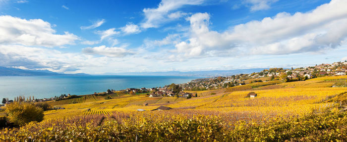 Scenic view of agricultural field against sky