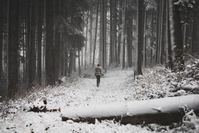 Scenic view of snow covered trees in forest