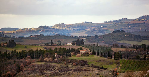 Tuscany hills rural countryside landscape, cypress passages and vineyards. wheat, olives cultivation