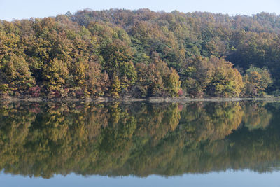 Scenic view of lake by trees against sky