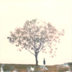 Silhouette man standing by tree against sky