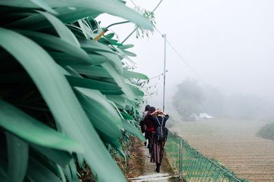 Rear view of women walking on footpath during foggy weather