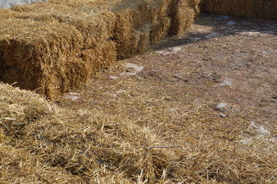 High angle view of hay bales on field