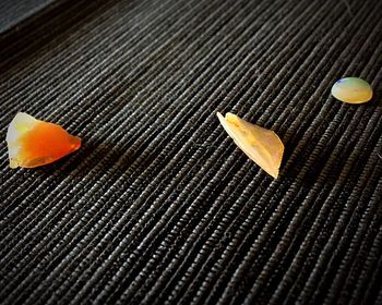 Close-up of orange leaves