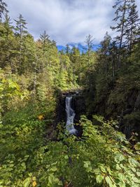 Scenic view of waterfall