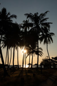 Silhouette palm trees on beach against sky during sunset