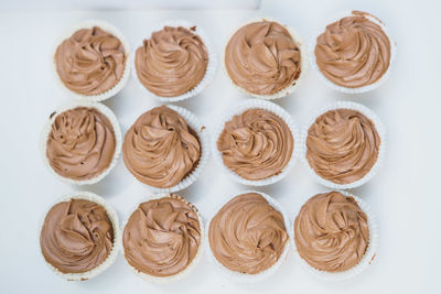 Directly above shot of cupcakes on white background