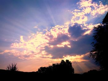 Low angle view of silhouette trees against sky during sunset