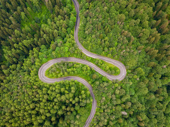 Aerial view of winding road in high mountain pass trough dense green pine woods.