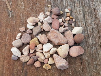 High angle view of shells on table