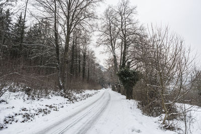 Snow covered road amidst trees during winter