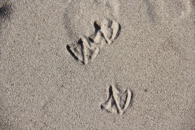 High angle view of footprints on sand