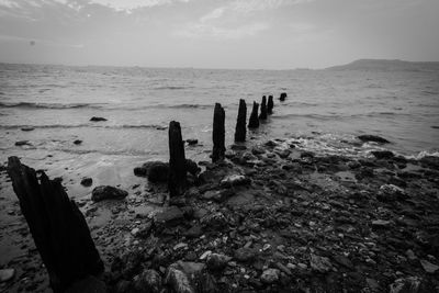 Wooden posts on beach against sky