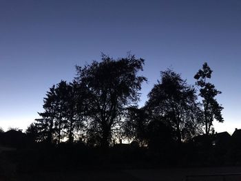 Low angle view of silhouette trees against sky at sunset