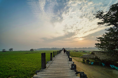 Empty footpath amidst trees against sky during sunset