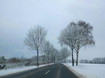 Road passing through forest