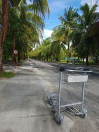 Empty road with trees in background